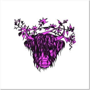 scottish cow pink Posters and Art